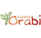Orabi Farms
